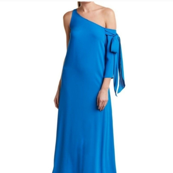 JAYGODFREY Dresses & Skirts - JAYGODFREY One Shoulder Maxi Dress Blue Size 6